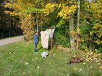 20251018_133919 (1024x768).jpg